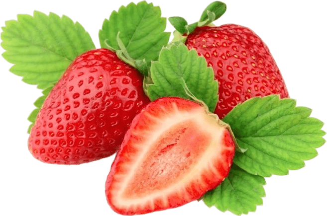 Strawberry Extract - Synaptigen